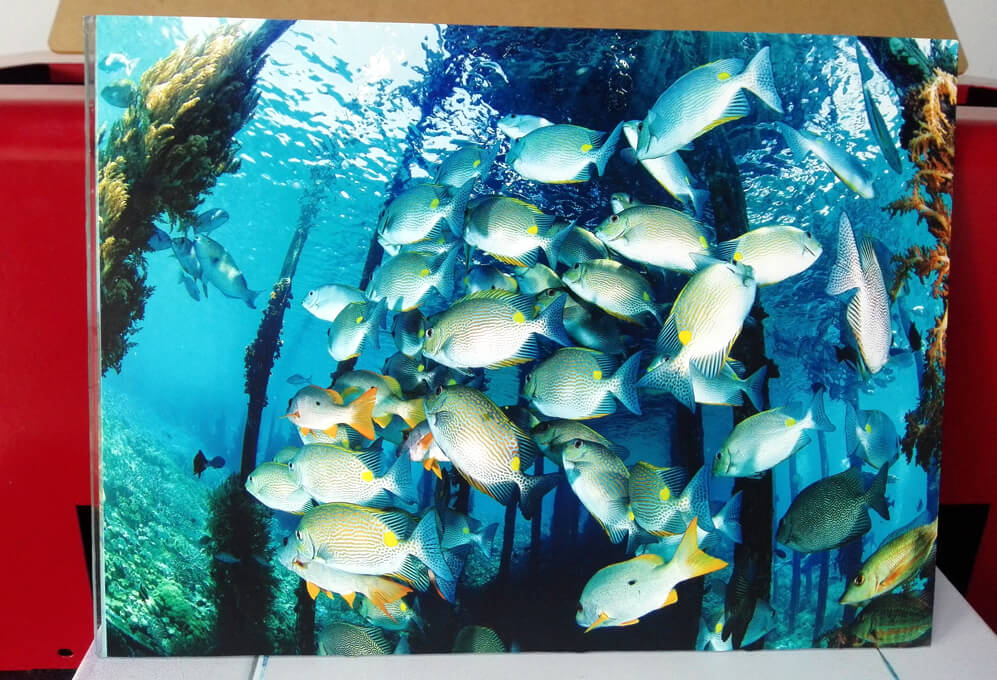 flatbed uv printing on the acrylic