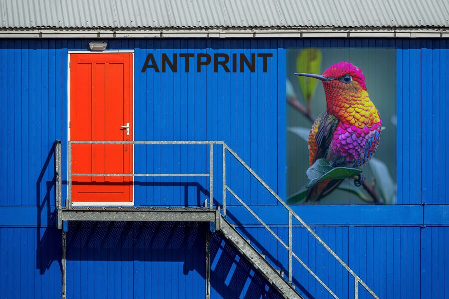 Antprint metal wall prints machine