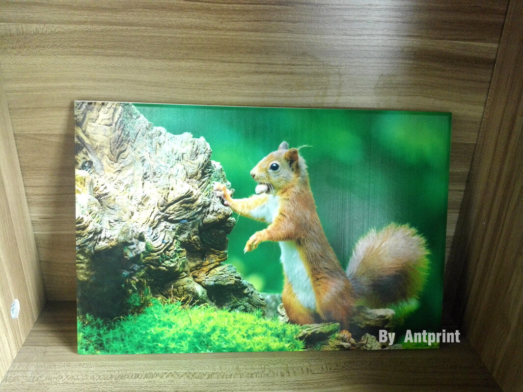 uv printing machine application on different materials